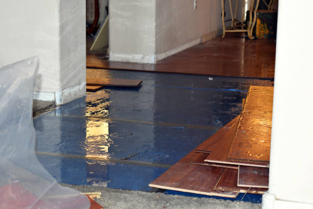 Professional Flood Damage Restoration technician working in Wallis, TX